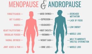 Menopause and Andropause can result from low Free Testosterone